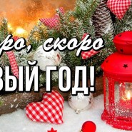 «Скоро, скоро Новый год!» фотографии