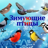 «Зимующие птицы» фотографии
