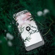 Интерактивно-игровая программа «Юный блогер» фотографии