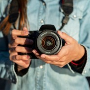 Фотовыставка «Дары лета» фотографии