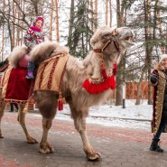 Прогулка на верблюде фотографии