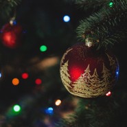 «Снежно - нежная сказка» фотографии