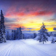 «Чудесная зима» фотографии