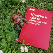 Интерактивная программа «По страницам Красной книги» фотографии