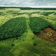 Экологическая викторина «Береги зеленый океан!» фотографии