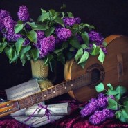 «Приглашение в весну»–концерт авторской песни в клубе «БардЭКЮ» фотографии