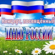 Праздничный концерт «Когда мы едины, мы непобедимы» фотографии