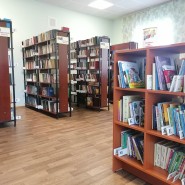 Новоникольская сельская библиотека фотографии