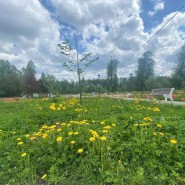 Городской парк культуры и отдыха «Парк героев 1812 года», Голицыно фотографии