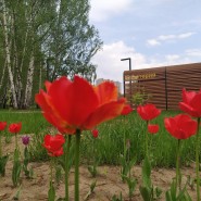 Парк «Солнечная» фотографии