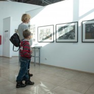 Музейно-выставочный комплекс «Артишок» фотографии