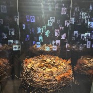 Экспозиция «Звенигород. От земли до неба» фотографии