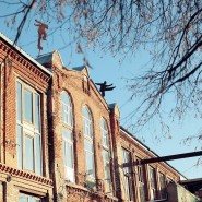 Творческая усадьба «Гуслица» фотографии