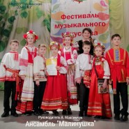 Пушкинская детская музыкальная школа № 2 фотографии