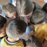 «Разгадай загадку» фотографии