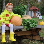 Программа «День тыквы в Мелихове» фотографии