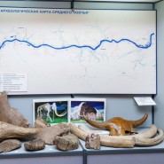 Постоянная экспозиция Каширского краеведческого музея фотографии