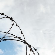 Час памяти «Город в стальном кольце» фотографии