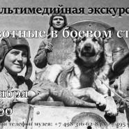 Мультимедийная экскурсия «Животные в боевом строю» фотографии