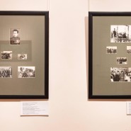 Лекция «Полярный лис» фотографии
