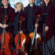 Renaissance Cellos фотографии