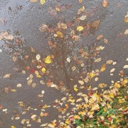 Мастер-класс «Дождь» фотографии