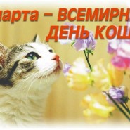 «Наши любимые животные» фотографии