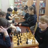 Встреча «Учимся играть в шахматы» фотографии