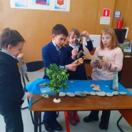 «Приключения натуралистов» фотографии