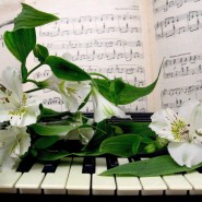 «Песни от всей души» - отчетный концерт Малаховского хора «Поющие сердца» фотографии