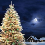 Рождественские забавы фотографии