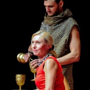 Спектакль «Лев зимой» фотографии