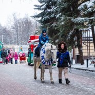 Прогулка на лошадях и пони фотографии