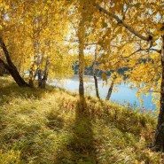 «Знаешь – отвечай, не знаешь - прочитай» фотографии