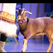 Спектакль «По щучьему велению» фотографии