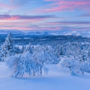 Выставка «Зимние мотивы» фотографии