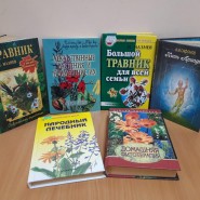 Беседа «Зеленые помощники» фотографии