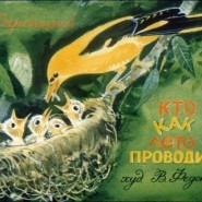 «Кто как лето проводит» фотографии