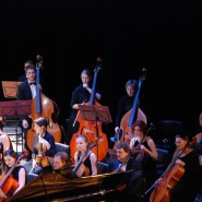 Концерт «Вена – музыкальная колыбель мира» фотографии
