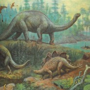 «Удивительная палеонтология» фотографии