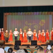 Отчетный концерт коллективов досугового центра «Юность» фотографии
