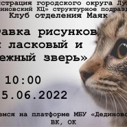 Выставка рисунков«Мой ласковый и нежный зверь» фотографии