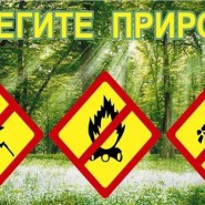 «С добрым сердцем в природу идите, все, что в ней, берегите»–час общения фотографии