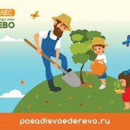 Наш лес. Посади своё дерево! фотографии