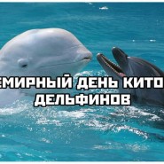 «Загадочный мир китов и дельфинов» фотографии