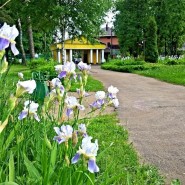 Парк культуры и отдыха г.п. Малаховка фотографии