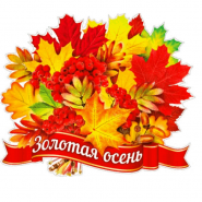 «Осень золотая» фотографии