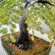 «Осенняя берёза » создание бисерного дерева 2 часть фотографии