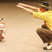 Театрально-цирковое шоу «Ребятам о зверятах» фотографии