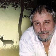 Литературное путешествие «Я на солнышке лежу» фотографии